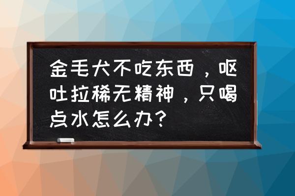 神经性腹泻特效药 金毛犬不吃东西，呕吐拉稀无精神，只喝点水怎么办？