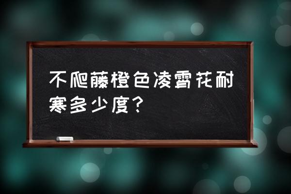 凌霄树苗怎么种植 不爬藤橙色凌霄花耐寒多少度？